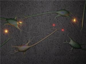 Нервные клетки растут на наноцеллюлозе